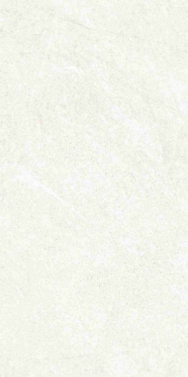 Dhara White Matte 12 x 24